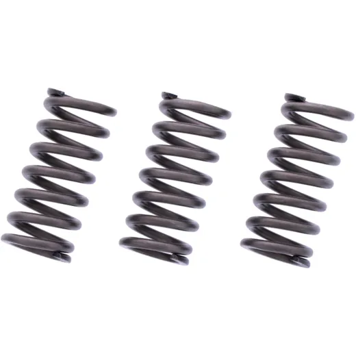 Reinforced Clutch Spring Kit EBC, 3 pcs
