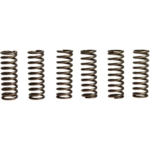 Clutch spring kit (6) EBC for: Honda CBF, VT, VTX