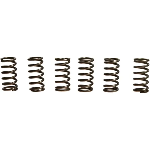 Kupplungsfedern verstärkt EBC für Motorräder 7451867