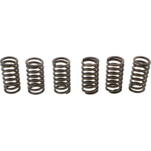 Ebc clutch spring set CSK099