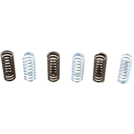 Ebc clutch spring set CSK102