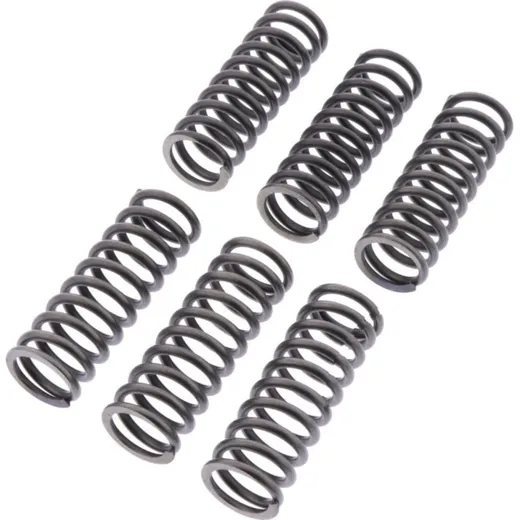 Clutch spring kit reinforced ebc CSK186
