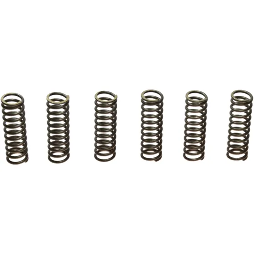 EBC Clutch Spring Kit (6)