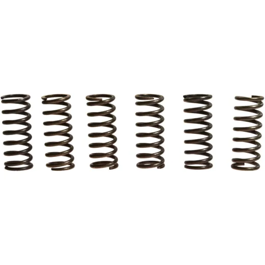 Kupplungsfedern verstärkt EBC Inhalt 6 Stück Alternative: 7388838 passend für: Honda VT, CR, XL, VF