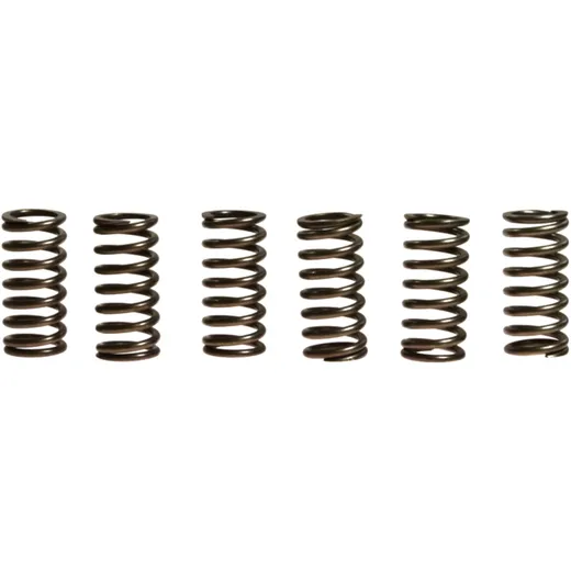 Clutch spring kit (6) EBC for: Kawasaki ZX - 10R, Z, ZX - 10RR