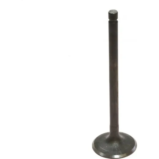 Einlassventil 68001004