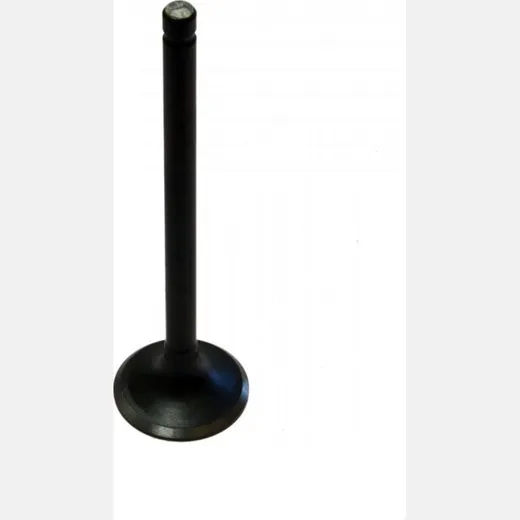 Intake valve 68011020