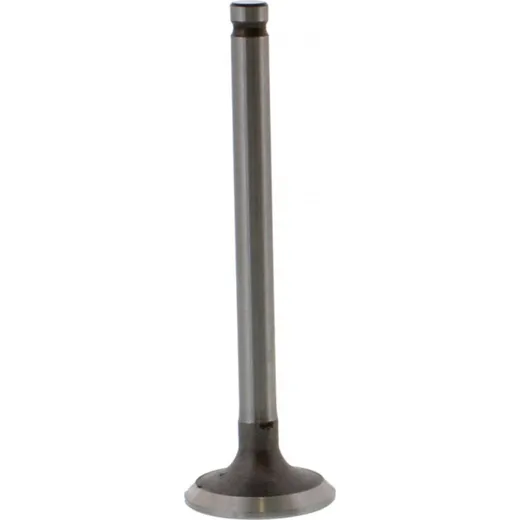 Valve exhaust 2810701
