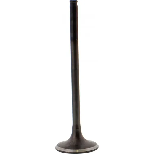 Valve exhaust 2813401