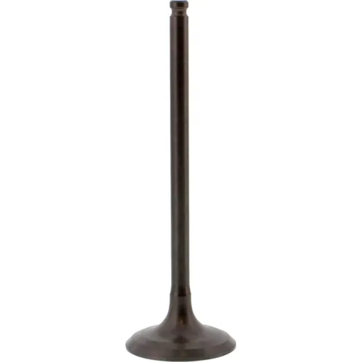 Einlassventil Stahl Prox 2824182