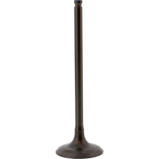 Einlassventil Stahl Prox 2824183