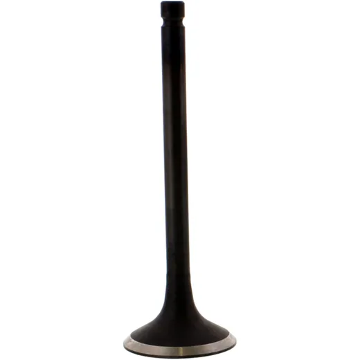 Valve exhaust 2824871