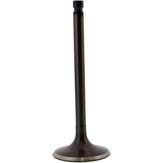 Einlassventil Stahl Prox 2824872