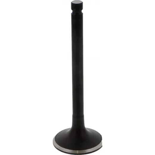 Valve exhaust 2826001