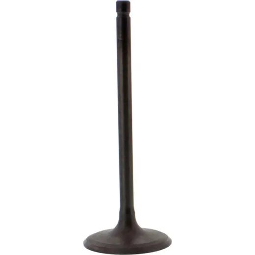 Einlassventil Stahl Prox 2827062