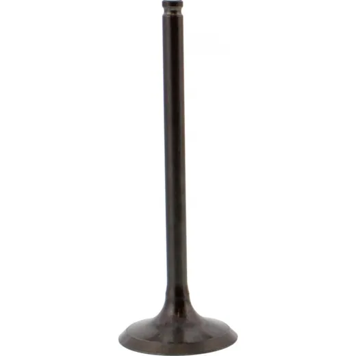 Valve exhaust 2834021