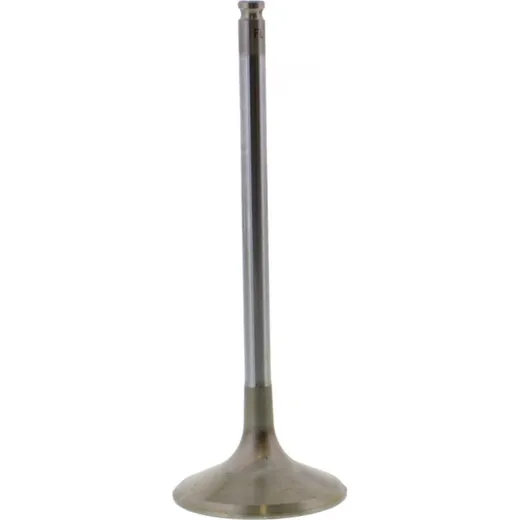 Valve exhaust 2864281