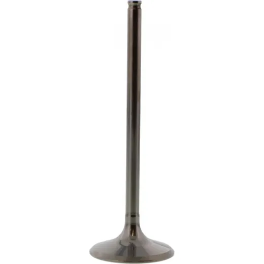 Einlassventil titan Prox 2813402
