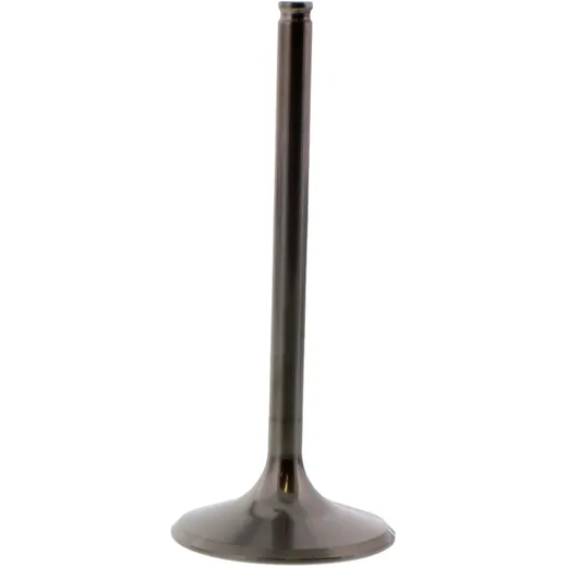 Einlassventil titan Prox 2814022