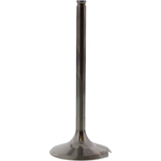 Einlassventil titan Prox 2814052
