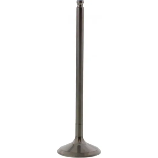 Einlassventil titan Prox 2824012