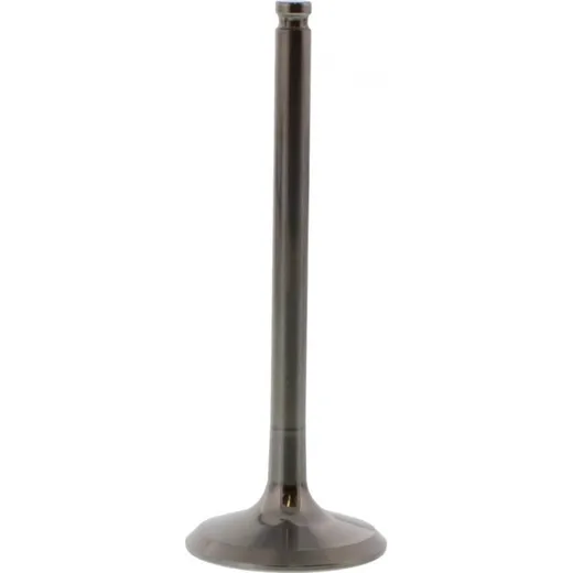 Valve exhaust 2824231