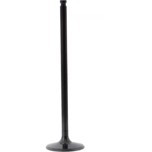 Einlassventil titan Prox 2829242