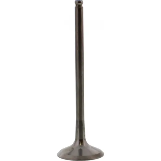 Valve exhaust 2833371
