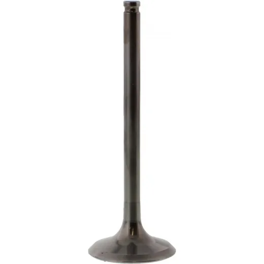 Valve exhaust 2834071