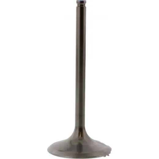 Einlassventil titan Prox 2834072