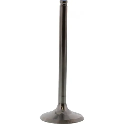 Valve exhaust 2834081