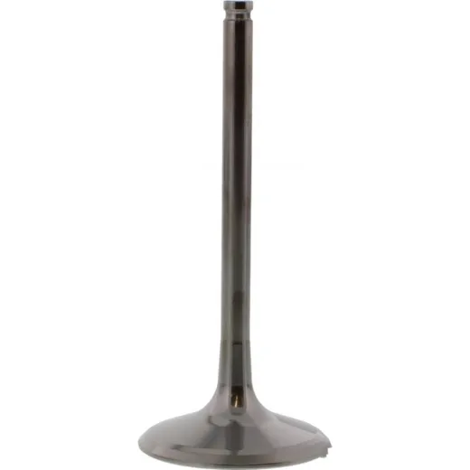 Einlassventil titan Prox 2834082