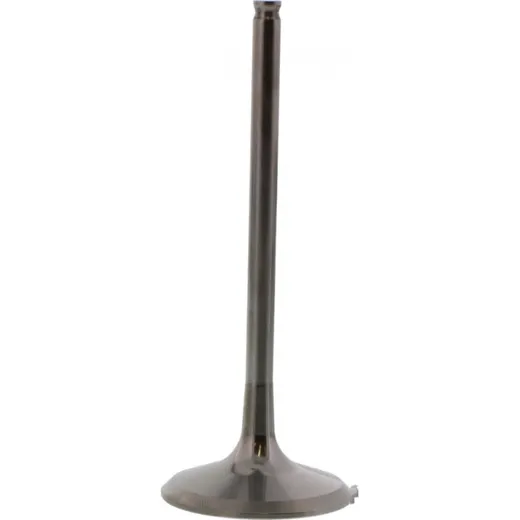 Einlassventil titan Prox 2843392