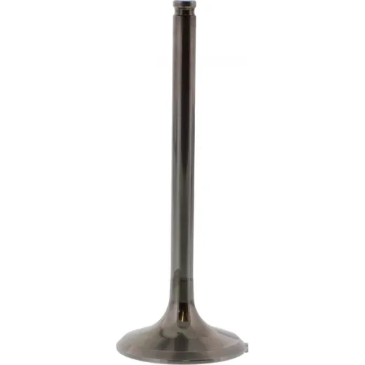 Valve exhaust 2844061