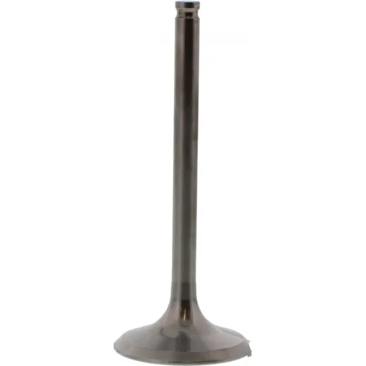 Valve exhaust 2844091