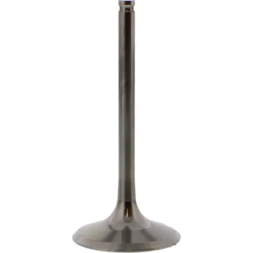 Einlassventil titan Prox 2844092
