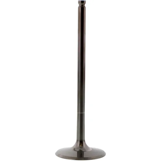 Einlassventil titan Prox 2863332