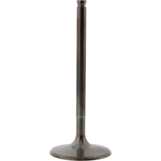 Einlassventil titan Prox 2863512