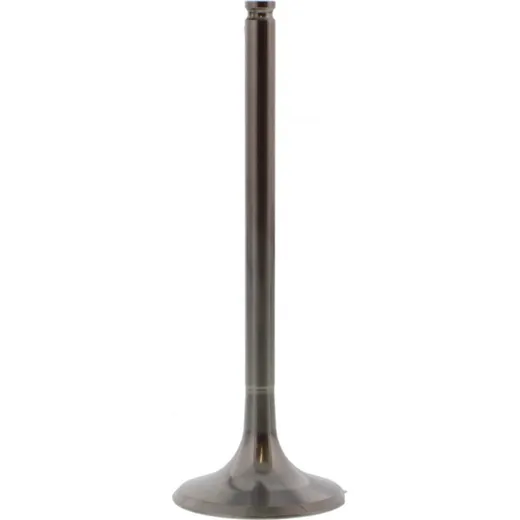 Einlassventil titan Prox 2864232