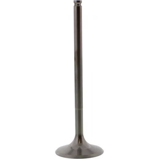 Einlassventil titan Prox 2864252