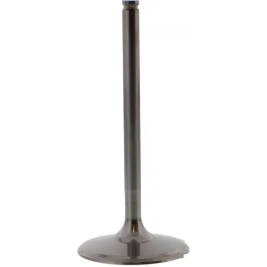 Einlassventil titan Prox 2864272