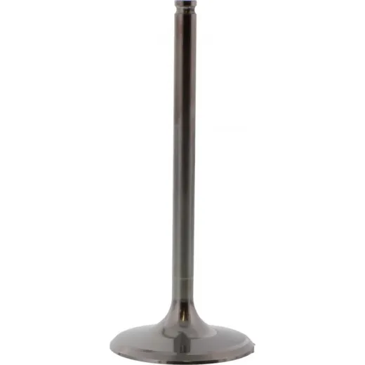 Einlassventil titan Prox 2864282