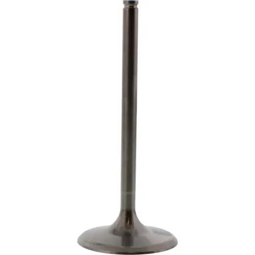 Einlassventil titan Prox 2864332