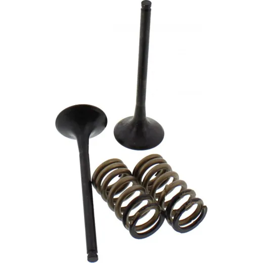 Exhaust valve and spring set 28SES63531