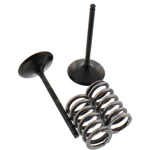 Inlet valve and spring set 28SIS14092