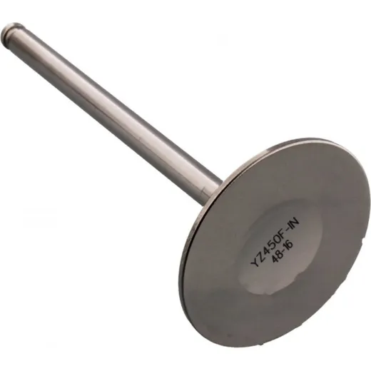 Valve intake 2824442