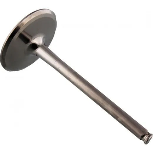 Einlassventil titan Prox 2844162_1