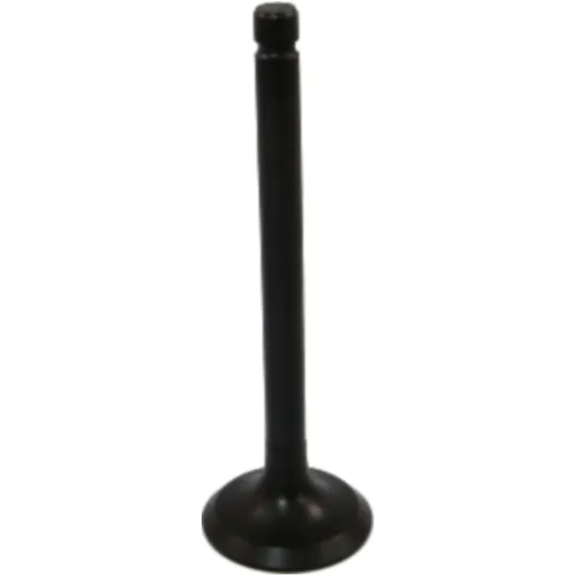 Exhaust valve JMP for: Kawasaki Z, ZR, GT, ZX