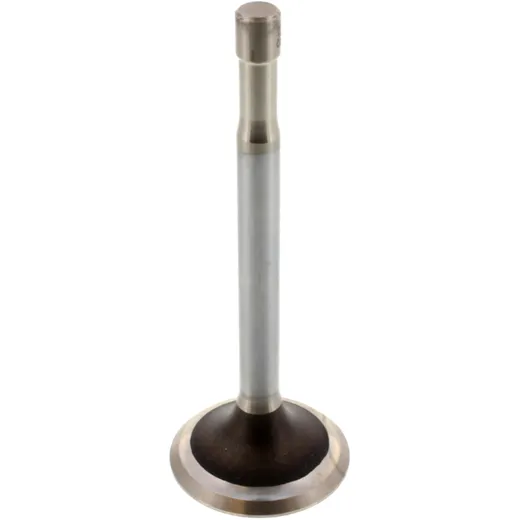 Outlet valve 1134109