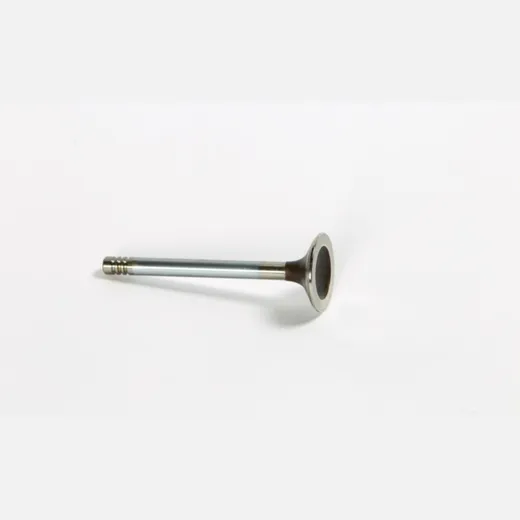 Outlet valve 1134679
